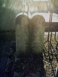 image of grave number 384242